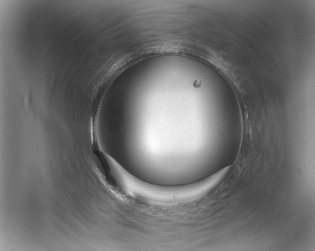 X0000059060013200510071054