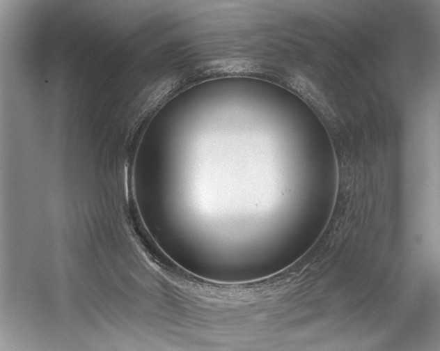 X0000059060014200510071054