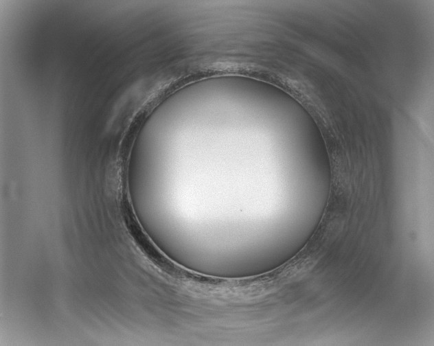 X0000059060016200510071054