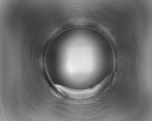 X0000059060017200510071054