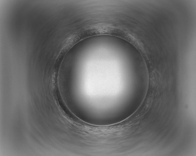 X0000059060018200510071054