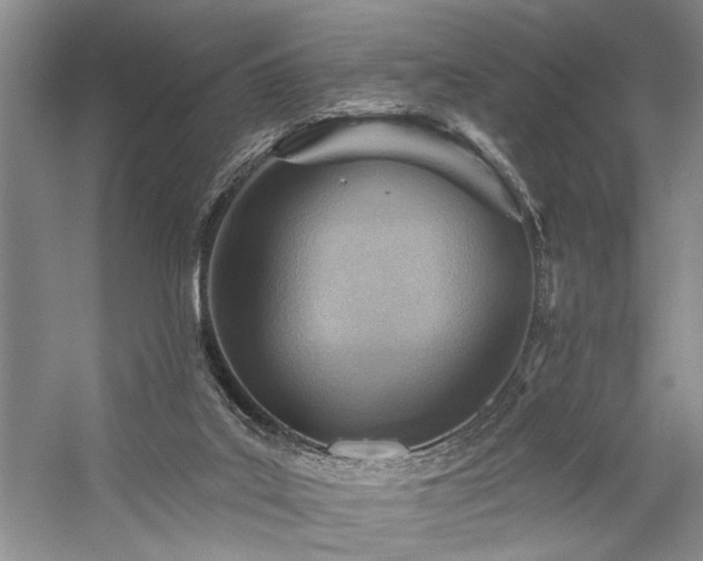 X0000059060019200510071054