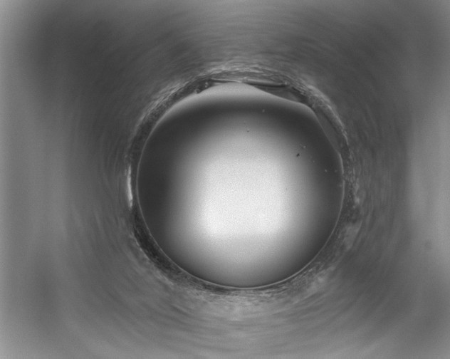 X0000059060020200510071054