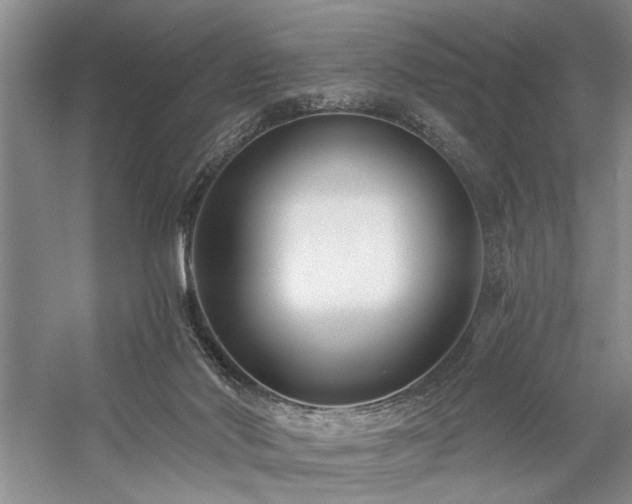 X0000059060022200510071054