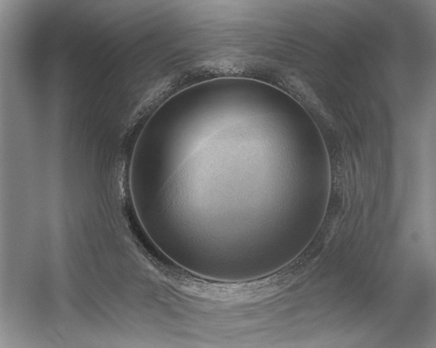 X0000059060023200510071054