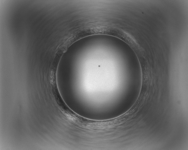 X0000059060025200510071054