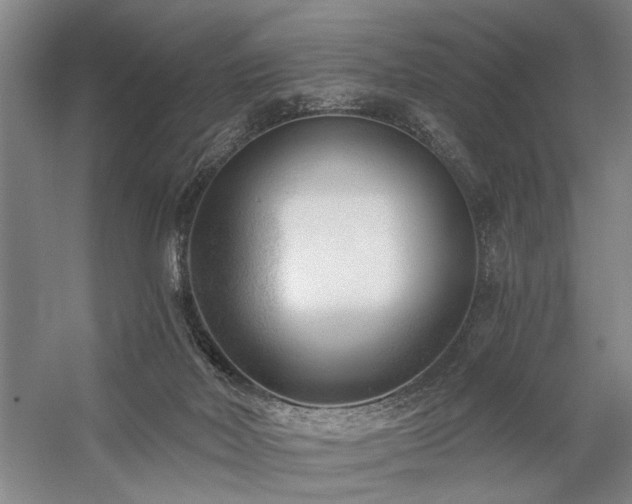 X0000059060026200510071054