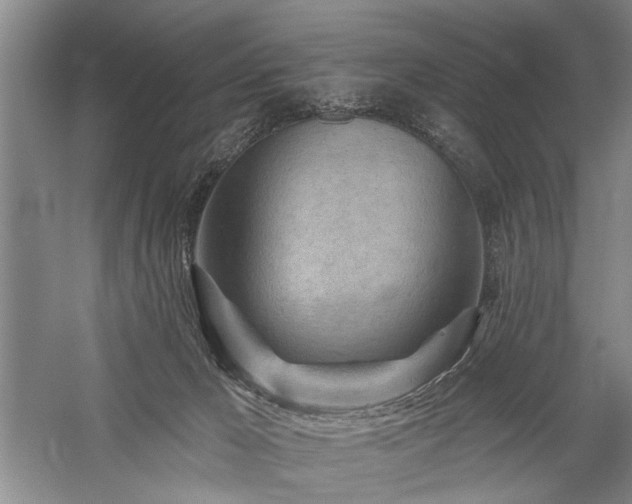 X0000059060029200510071054