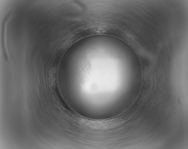 X0000059060030200510071054