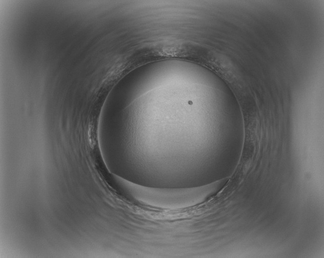 X0000059060031200510071054