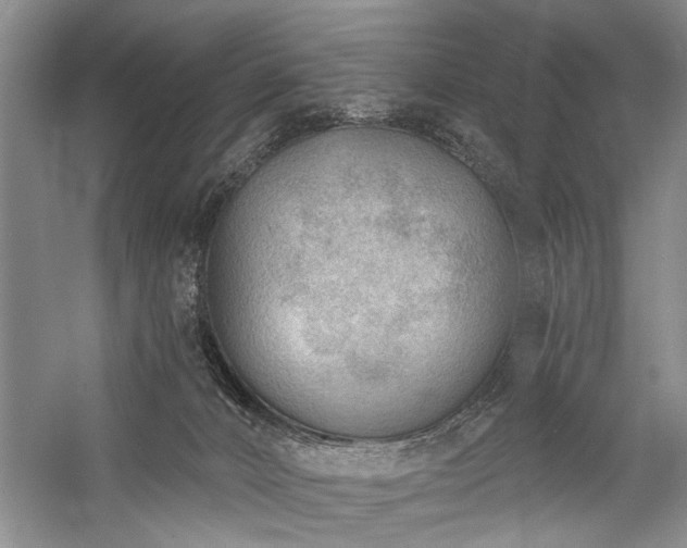 X0000059060032200510071054