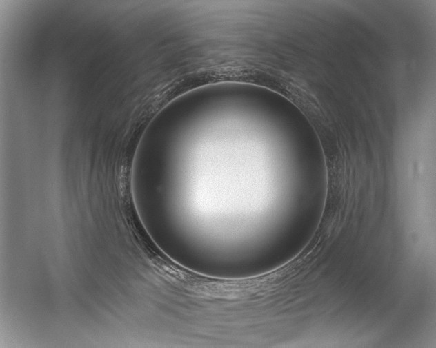 X0000059060033200510071054