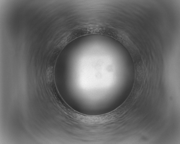 X0000059060034200510071054