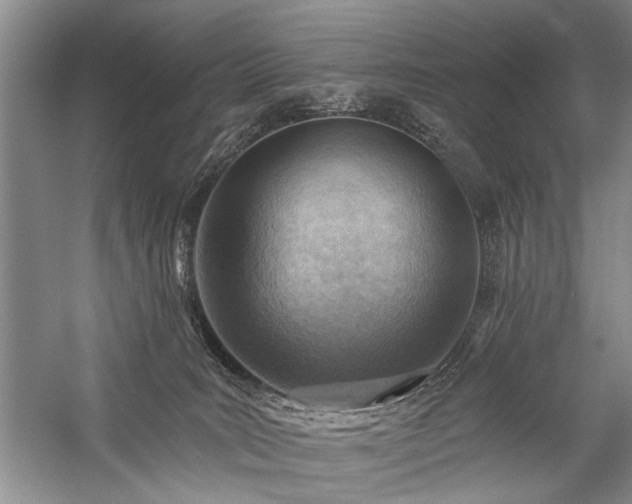 X0000059060035200510071054