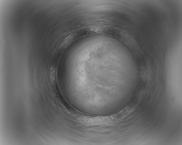 X0000059060036200510071054