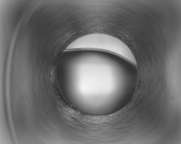 X0000059060037200510071054