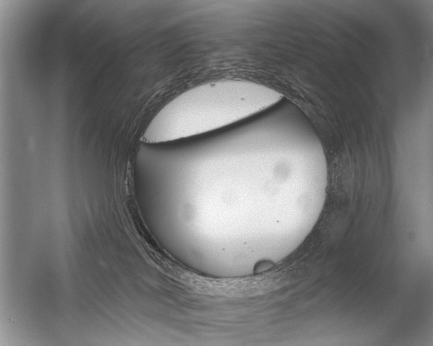 X0000059060038200510071053