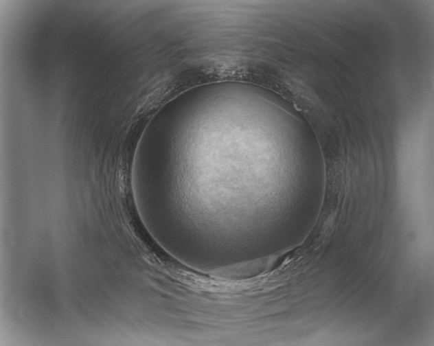 X0000059060039200510071053