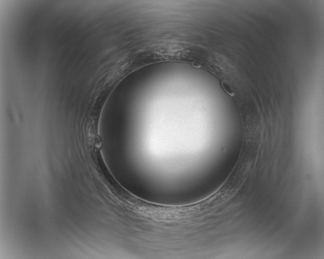 X0000059060040200510071053