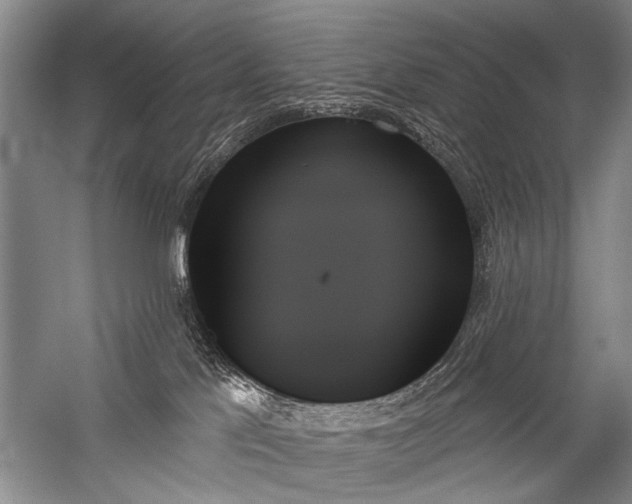 X0000059060041200510071053