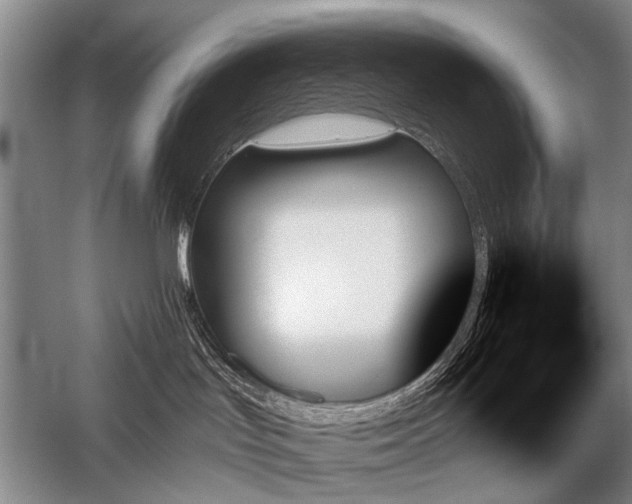 X0000059060047200510071053