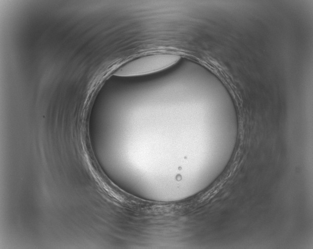 X0000059060049200510071052