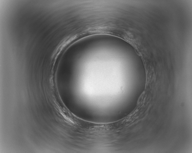 X0000059060050200510071053