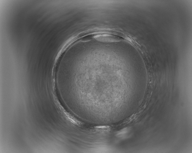 X0000059060053200510071053