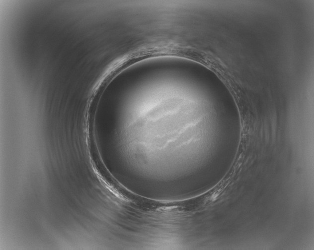 X0000059060054200510071053