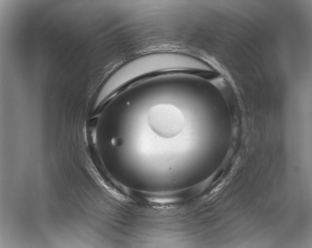 X0000059060057200510071053