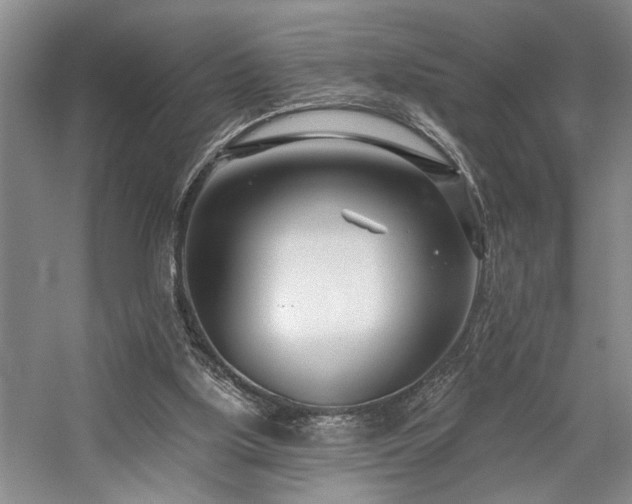 X0000059060059200510071053