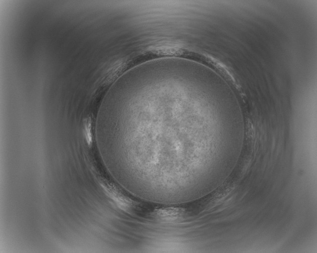 X0000059060069200510071053