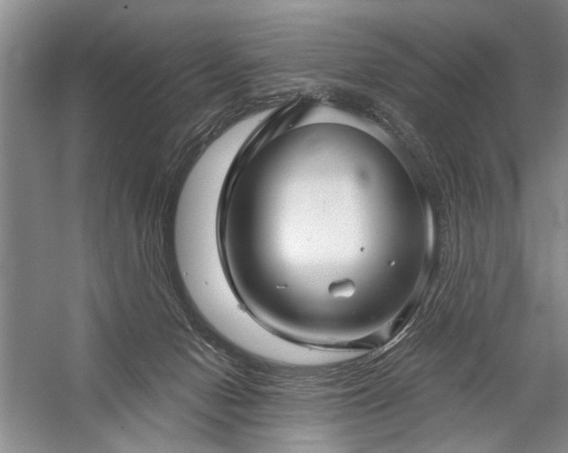 X0000059060078200510071053