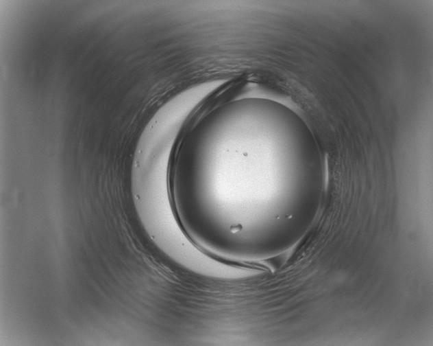 X0000059060079200510071053