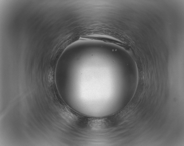 X0000059060081200510071053