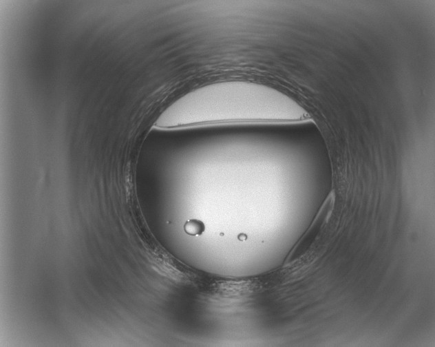 X0000059060085200510071053