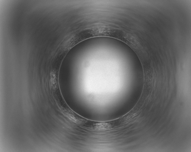 X0000059060087200510071053