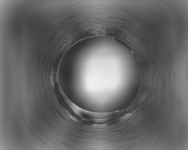 X0000059060088200510071053