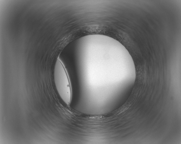 X0000059060089200510071053