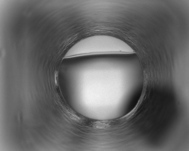 X0000059060094200510071053