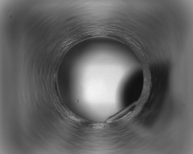 X0000059060096200510071053