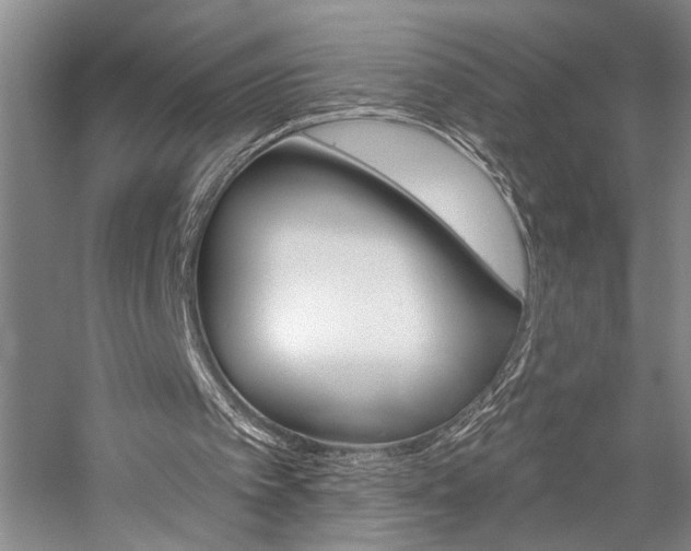 X0000059060097200510071052