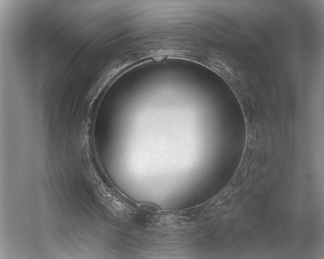 X0000059060098200510071052