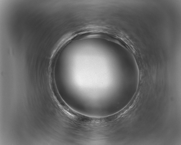 X0000059060101200510071052