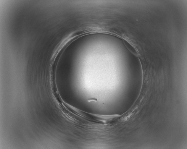 X0000059060103200510071052