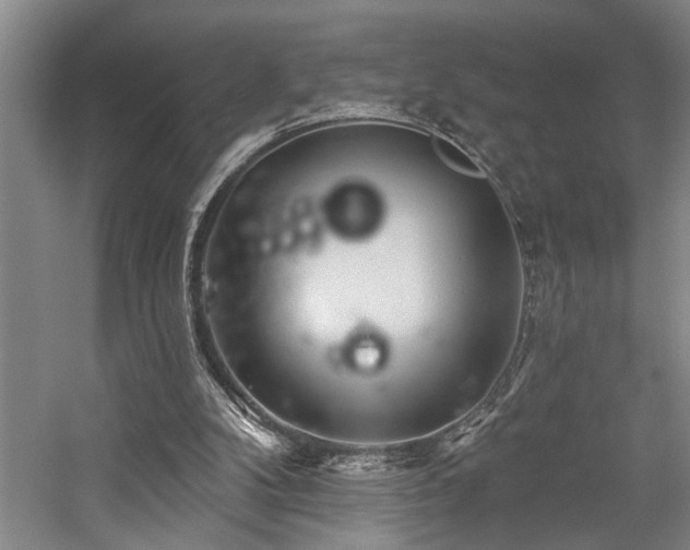 X0000059060104200510071052