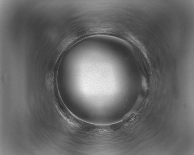 X0000059060107200510071052