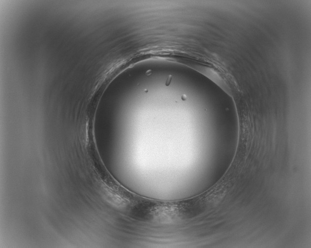 X0000059060110200510071052