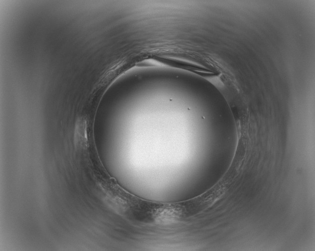 X0000059060115200510071052