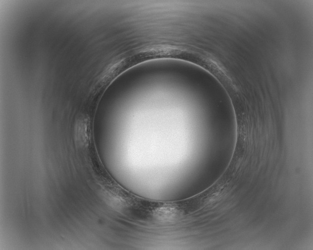 X0000059060119200510071052